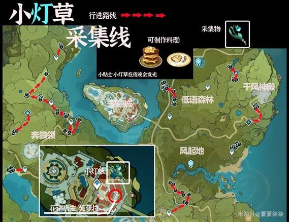 原神小灯草最佳采集位置：高效获取突破材料