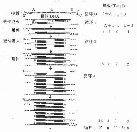 锻造分支是什么？一篇文章让你了解它的原理和应用！