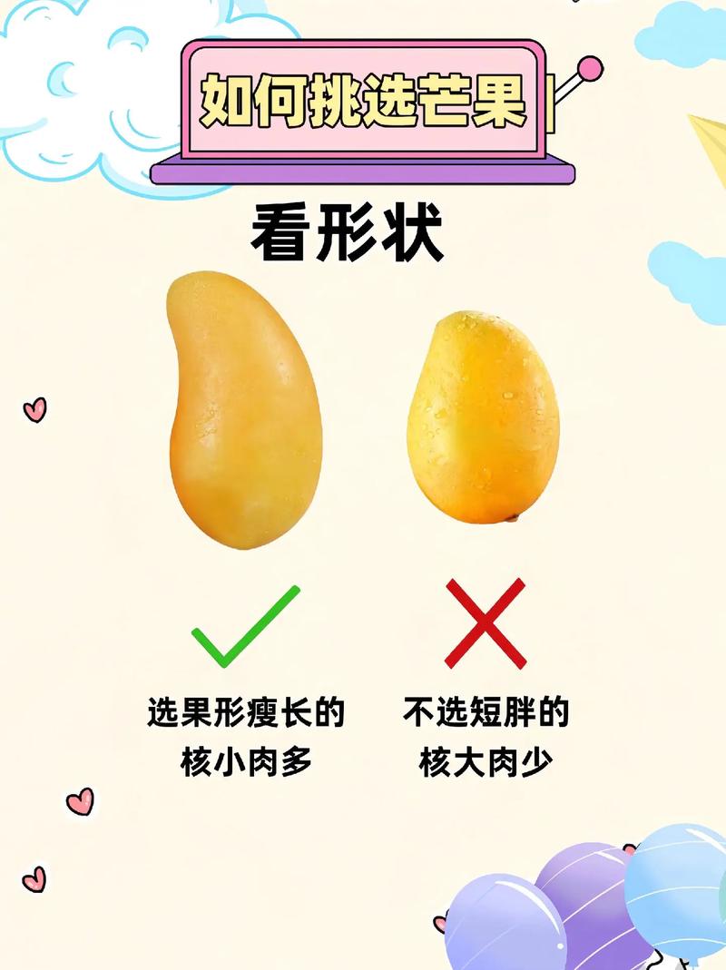 芒果精品1区2区3区4区怎么找？这几个方法超简单！