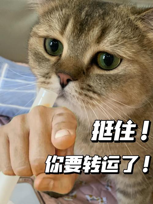 二次觉醒是什么意思？这篇文章看完你就懂了！