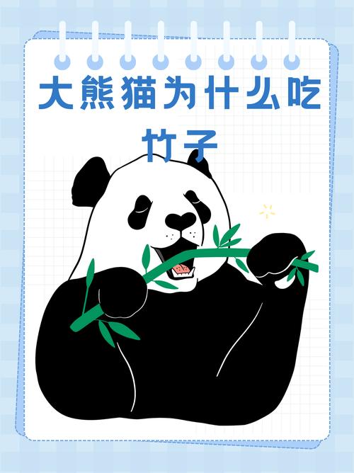 大熊猫的专属美食：这种竹子你肯定没吃过！