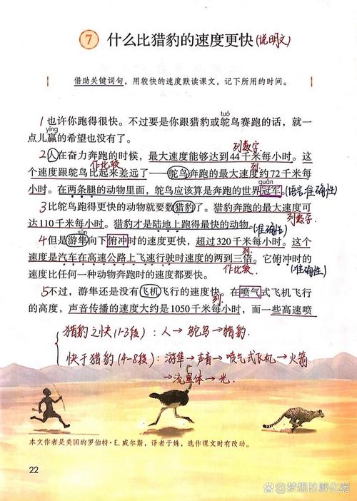 闪电豹是什么？一篇文章带你了解它的所有秘密！
