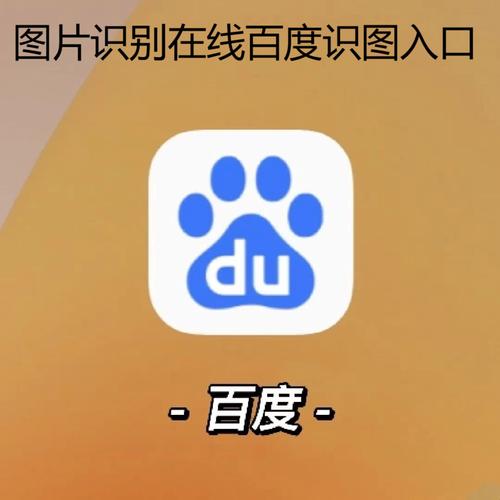 百度识图网页版好用吗？在线图片识别超方便