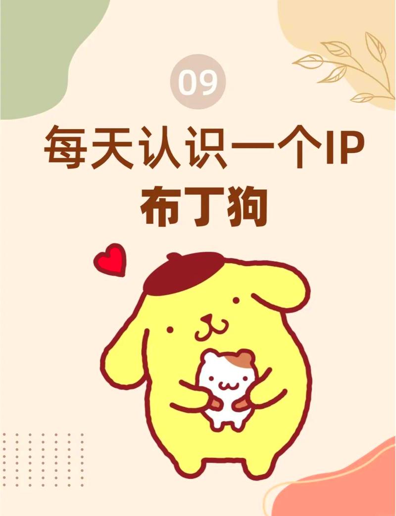 布丁动画官网怎么找？老用户教你快速找到官网！