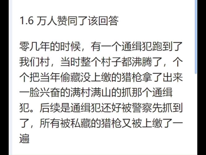 想了解武豆豆？看完这篇你就全明白了！