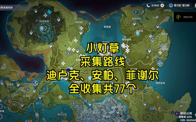 原神小灯草最佳采集位置：高效获取突破材料