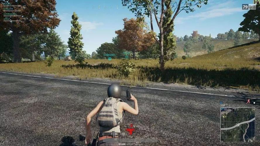 h1z1禁播后，还有类似的游戏可以推荐吗？