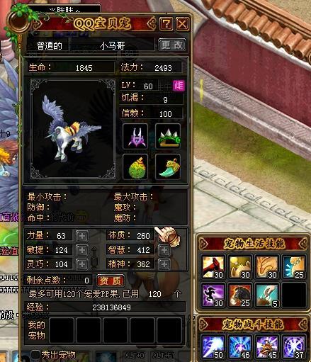 qq自由幻想宠物技能怎么学？新手一看就会的攻略！