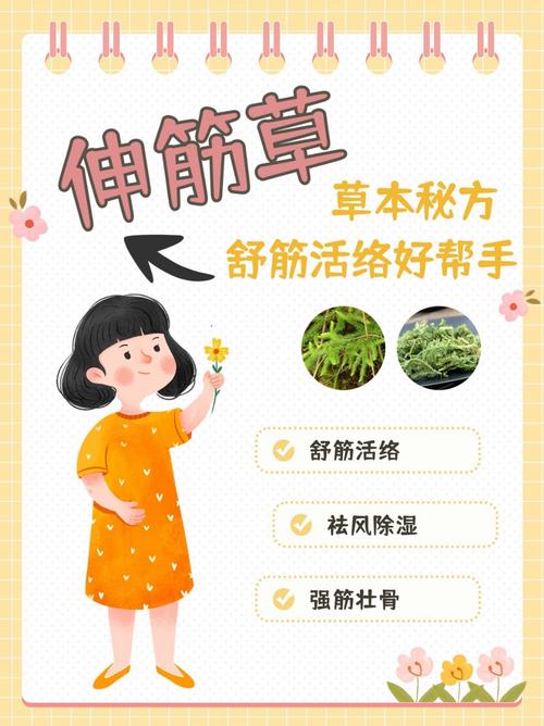 盲目草哪里多？生长环境大揭秘，找盲目草不迷路！