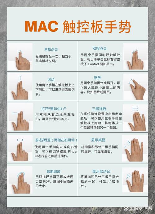 loken怎么用？手把手教你快速上手操作！