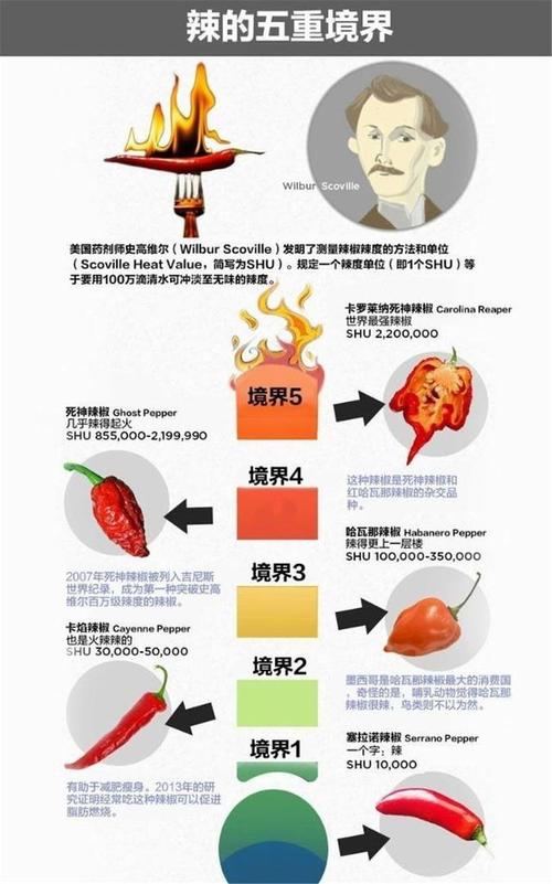 诗人吃辣椒有什么梗？这些有趣的说法你听过吗？