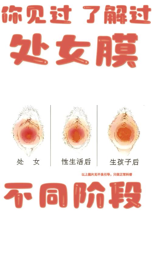 处女回路使用教程：新手入门到精通全攻略！