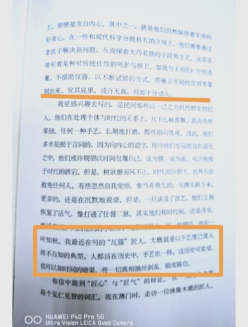 想了解瓦利？这篇文章让你3分钟快速上手！