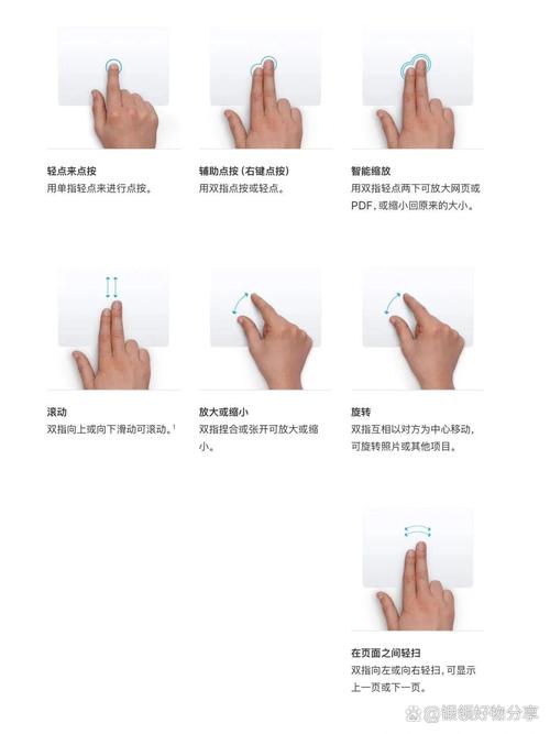 loken怎么用？手把手教你快速上手操作！