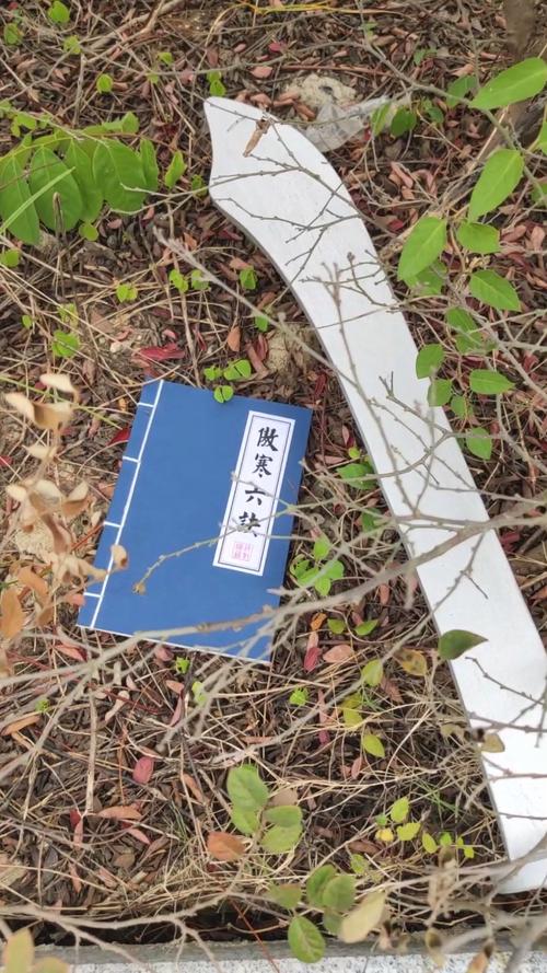 傲寒六诀怎么练？新手入门详细步骤解读！