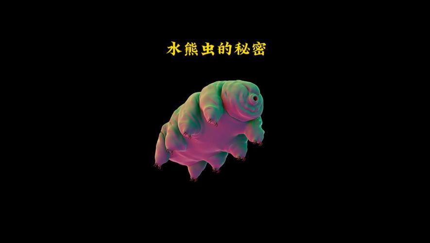 水仙花和水熊虫谁更耐受？揭秘最强生命力生物！