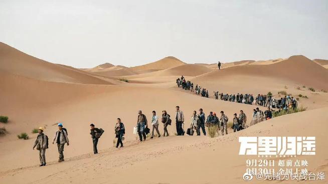 交响乐之雨爱藏版：影评口碑大揭秘，值得一看吗？
