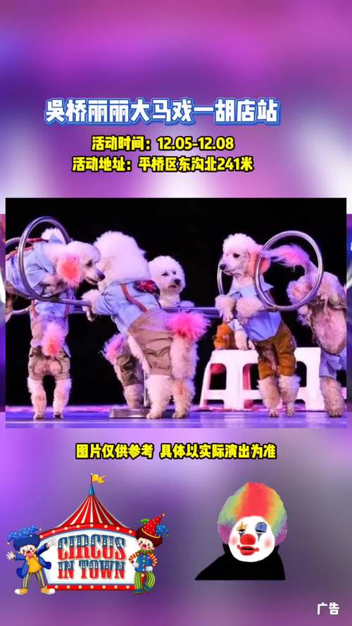 暗月马戏团裁缝任务怎么做？简单步骤教你轻松完成