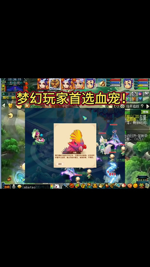 九天仙梦宠物养成攻略：新手必看，快速拥有极品宠物