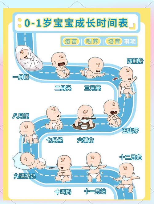 体验巨星养成：巨星成长计划完整流程详解