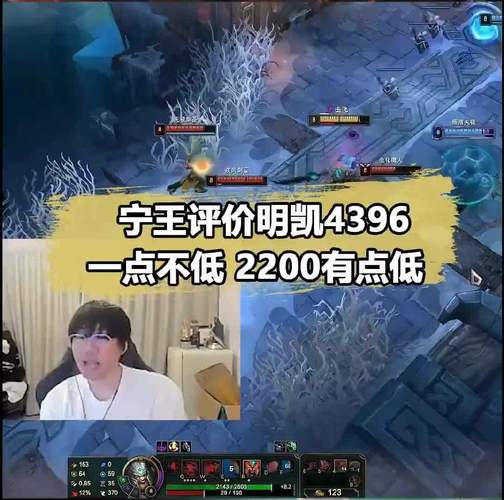 英雄联盟4396梗的含义是什么？带你了解4396