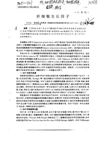 深度解析：王因子名字背后的含义与命运