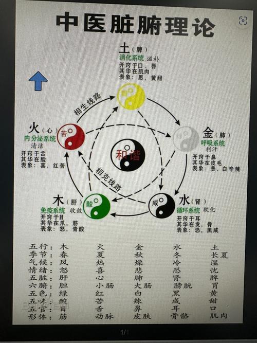 九阴真经疲劳度满了怎么办？几种恢复方法大揭秘