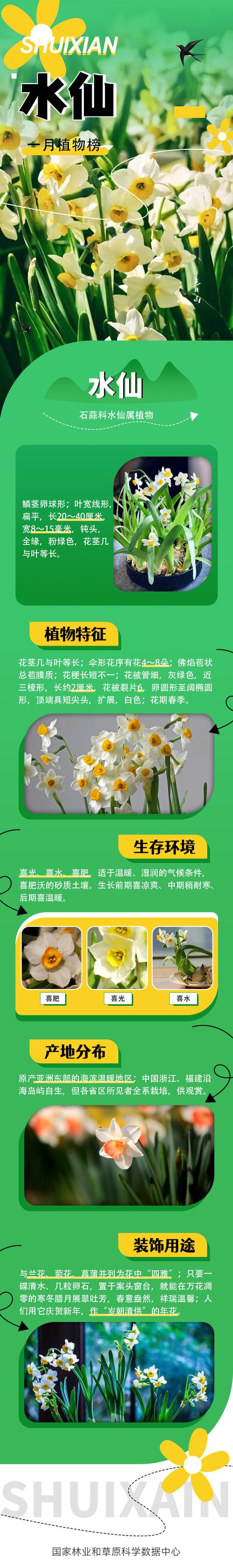 水仙花和水熊虫谁更耐受？揭秘最强生命力生物！