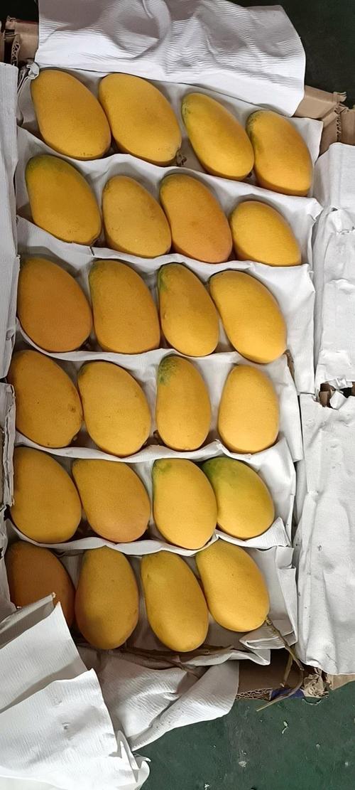 精品1区2区3区芒果批发零售，价格实惠