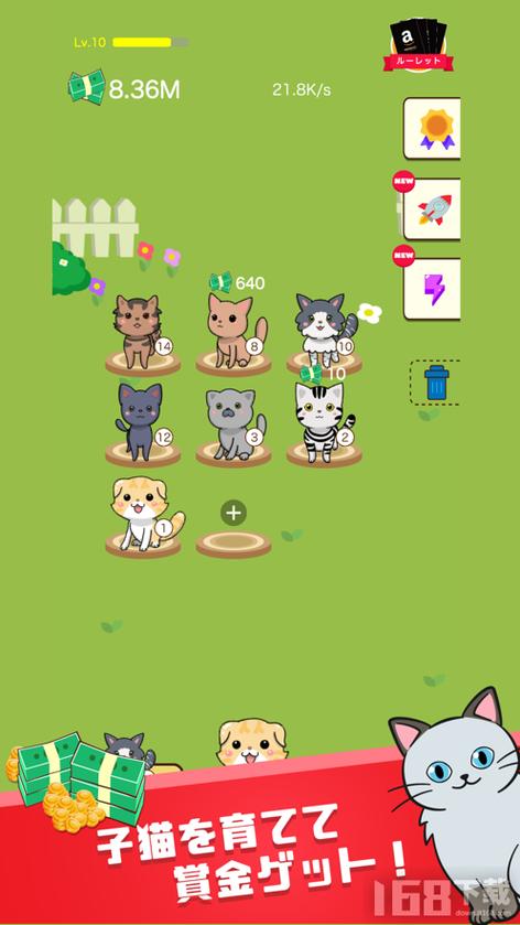 各类猫咪下载：萌宠游戏、实用工具等你下载！