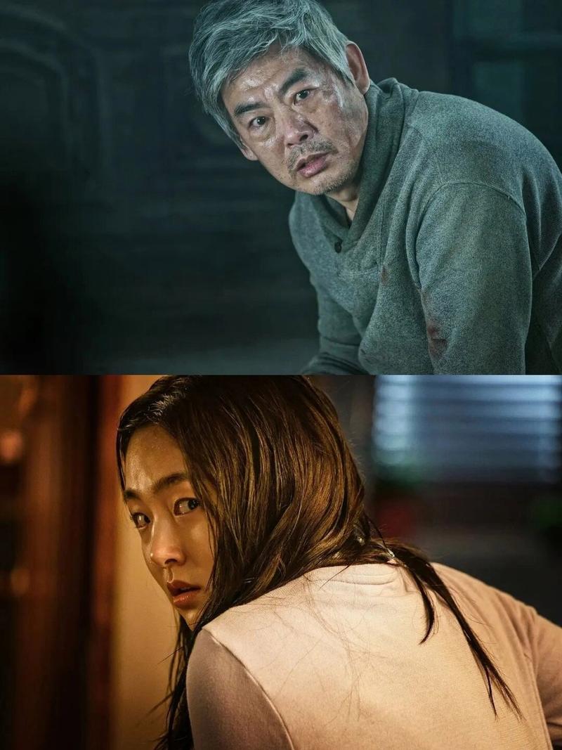 蜘蛛森林惊魂：揭秘韩国恐怖片背后的故事