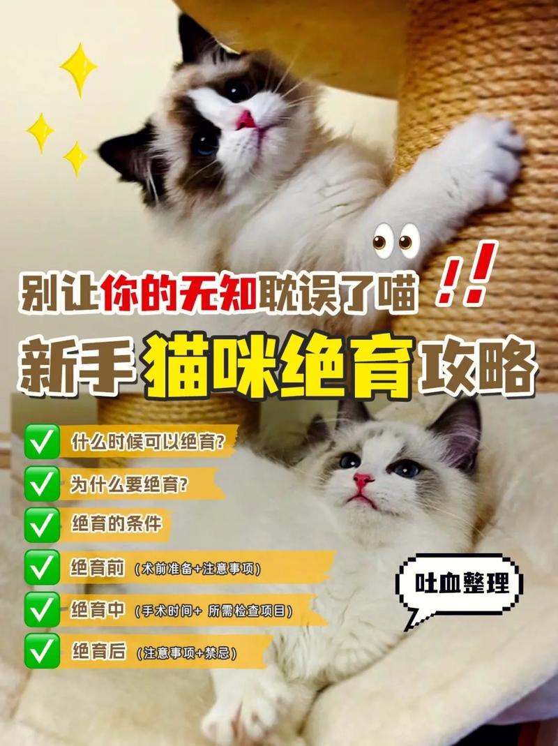九天仙梦宠物养成攻略：新手必看，快速拥有极品宠物