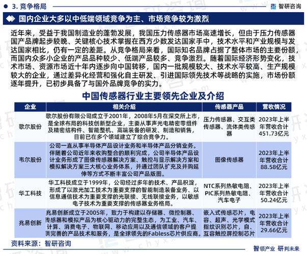 数据解读：376.09万元投资项目详解及市场前景