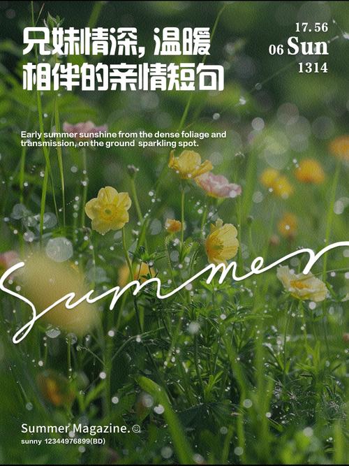 一辈子的姐弟：感人至深的姐弟情深