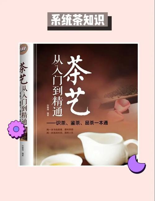 关于Kanakn的一切：从入门到精通的完整指南