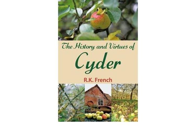 cyder2新手入门指南：快速上手技巧及常见问题解答！