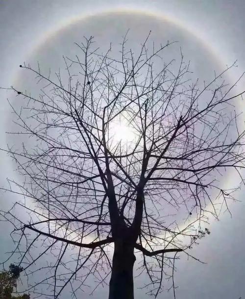 日光月美论坛：最新热门话题及精彩讨论汇总