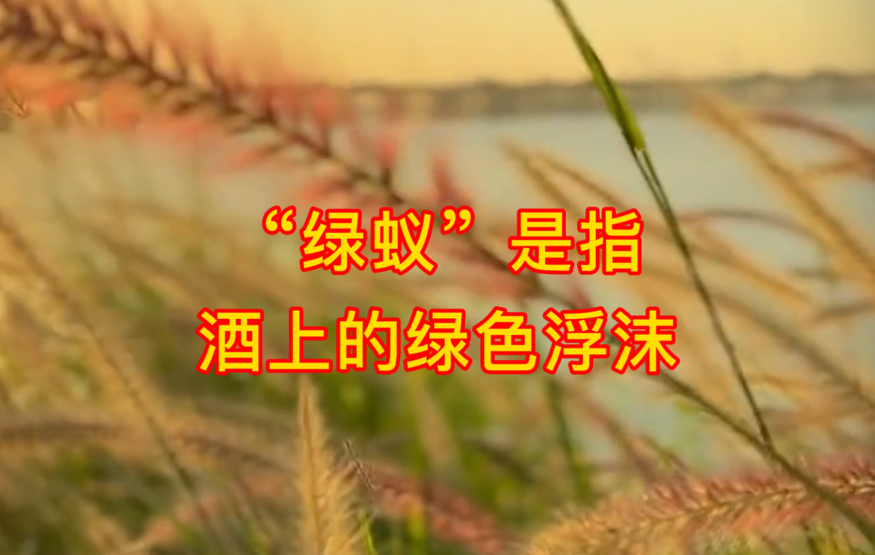 绿蚁蚂蚁庄园趣味问答：你答对了吗？
