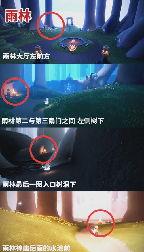 如何在光遇墓土完成赏花任务？新手必看详细步骤