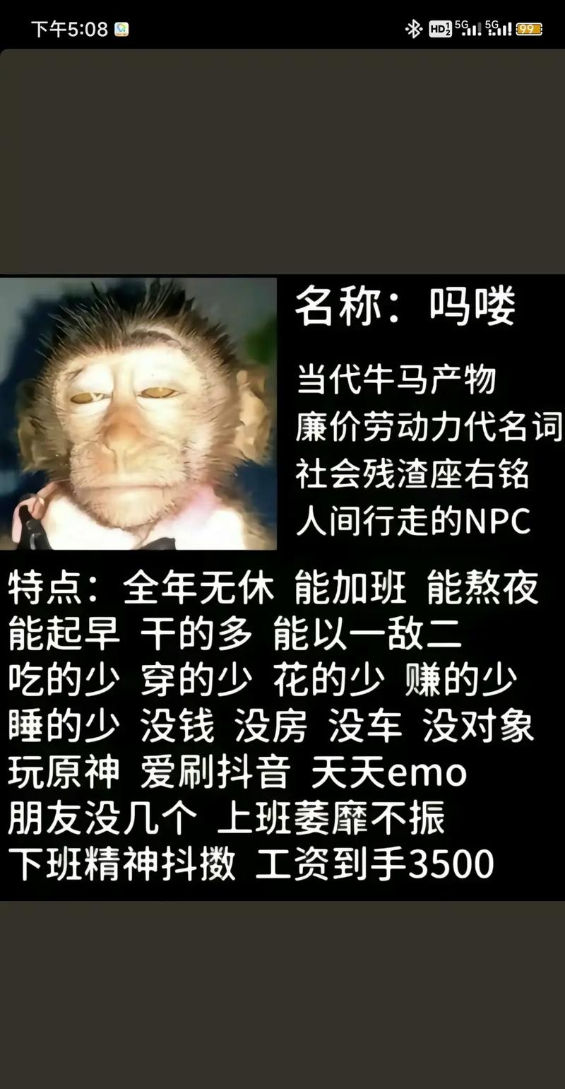 “马喽啥意思”快速入门：了解网络流行语新趋势