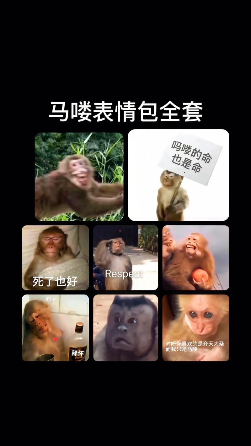 “马喽啥意思”快速入门：了解网络流行语新趋势