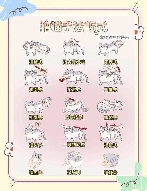 小猫爱消除攻略大全：快速通关技巧分享