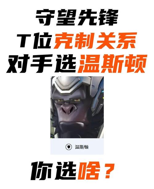 守望先锋攻略教学：掌握技巧轻松赢得比赛胜利