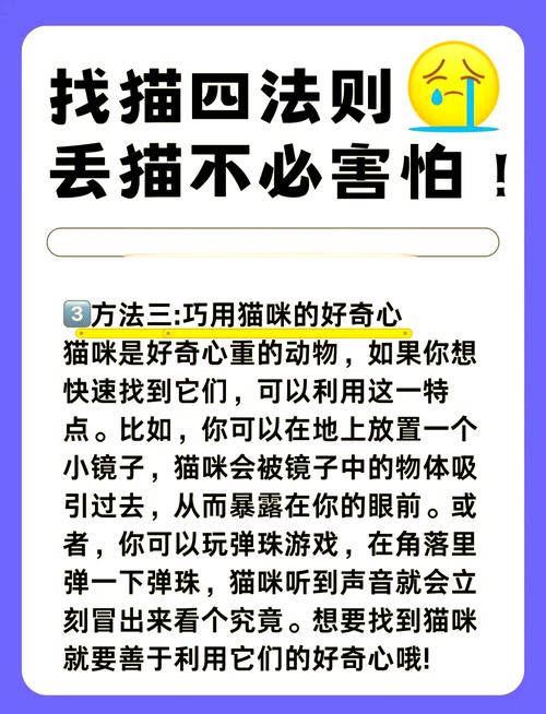 小猫爱消除攻略大全：快速通关技巧分享