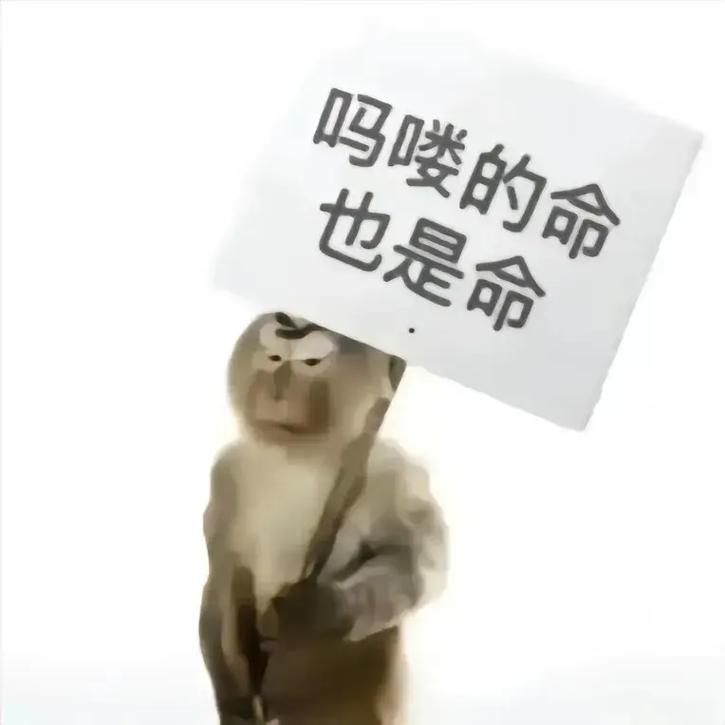 “马喽啥意思”快速入门：了解网络流行语新趋势