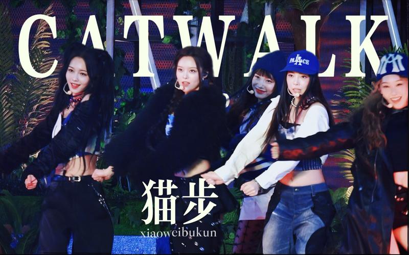 回顾小野猫组合：那些年我们一起追过的欧美女团